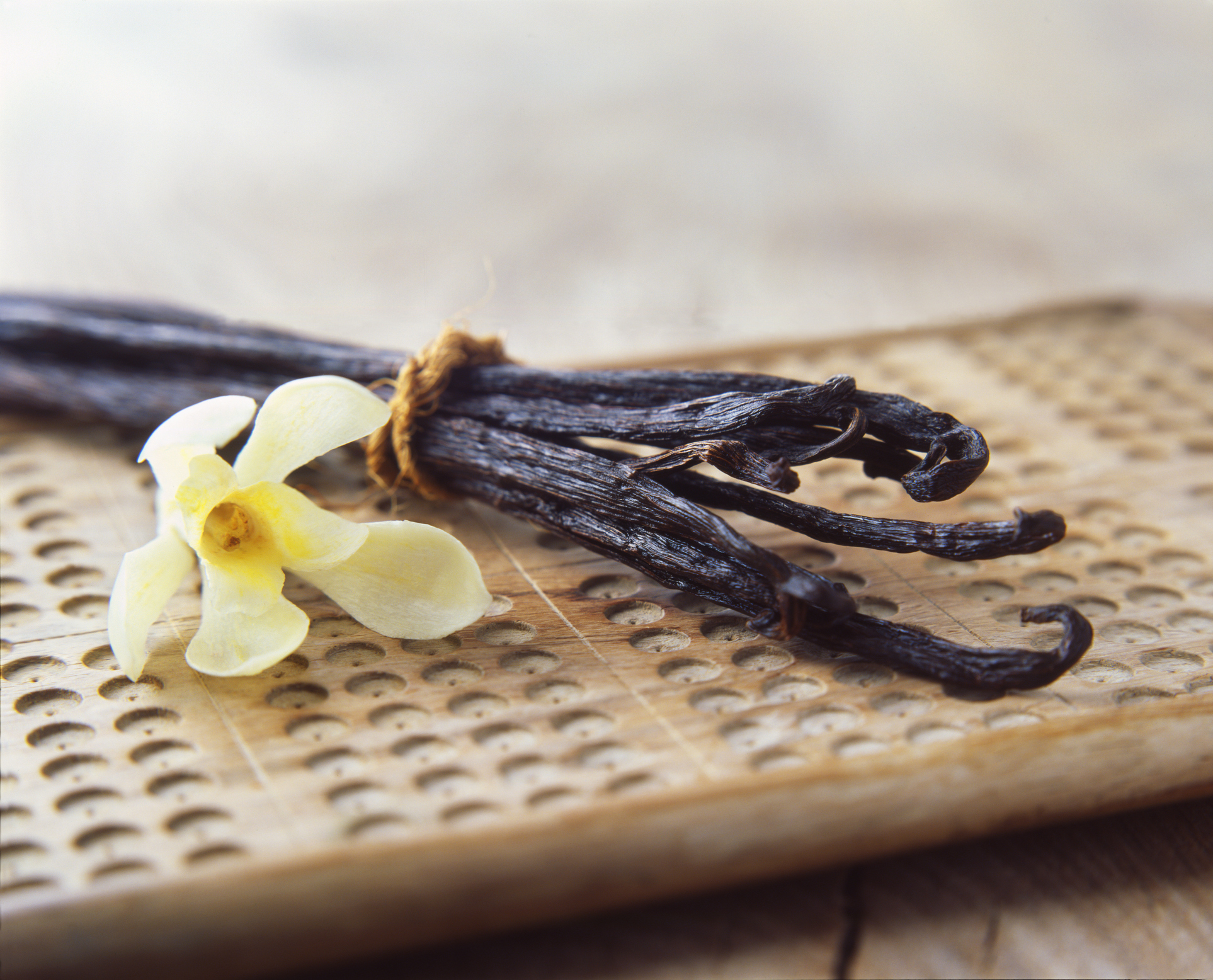 vanilla pods with flower