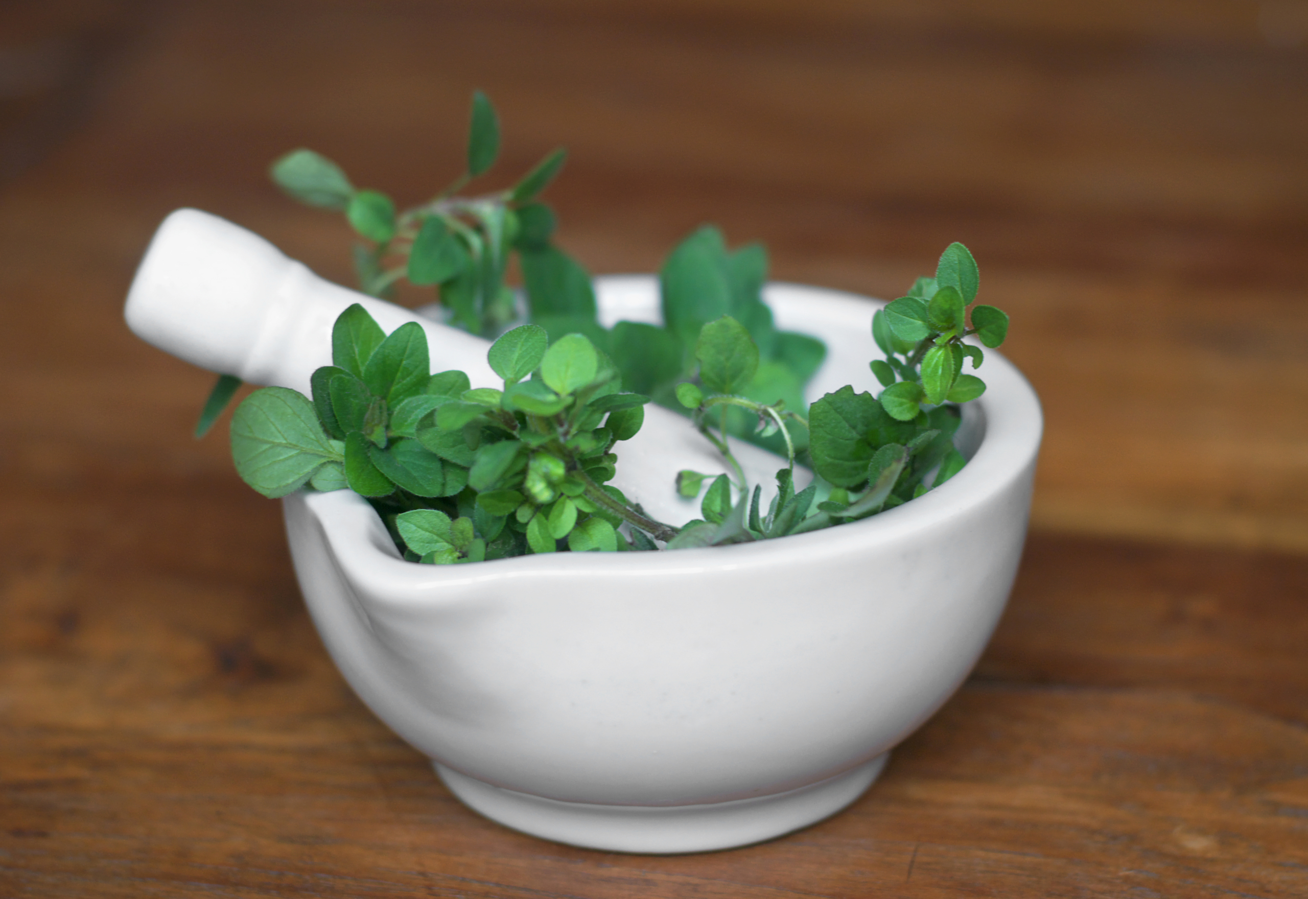 marjoram in stone grinding bowl