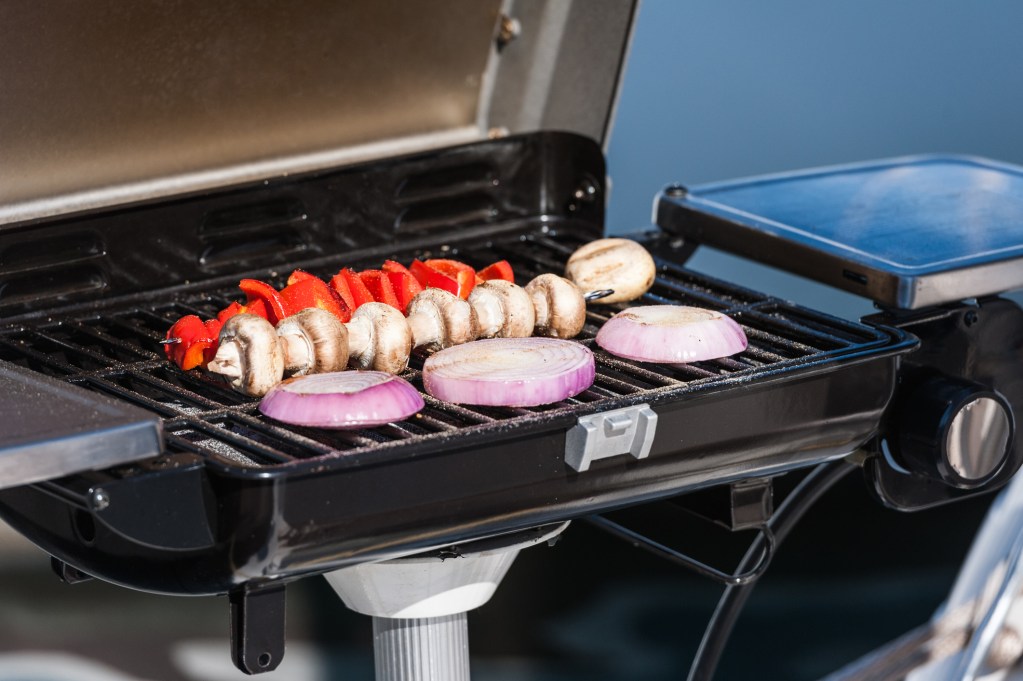 The pros and cons of Electric Grill - Ideas by Mr Right