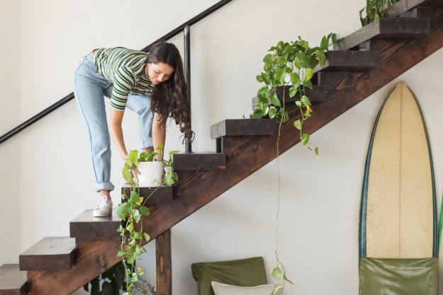 Young woman on stairs in a loft caring for potted plants.