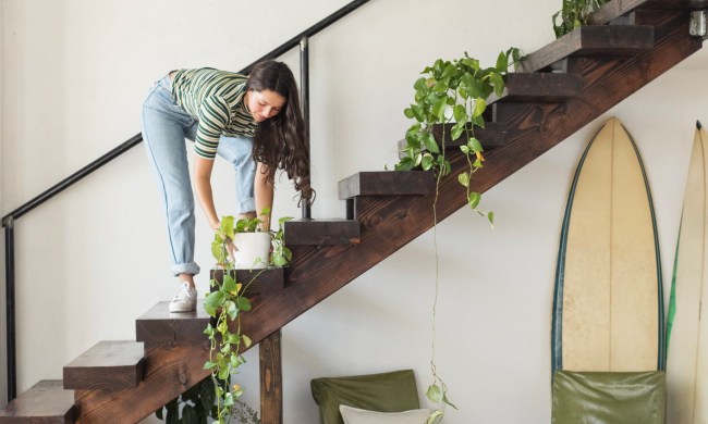 Young woman on stairs in a loft caring for potted plants.