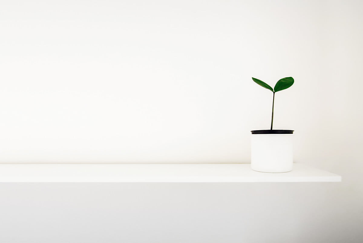 The Best Wall Shelves to Enliven your Space 21Oak