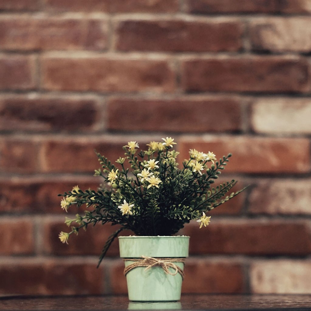 exposed brick wall