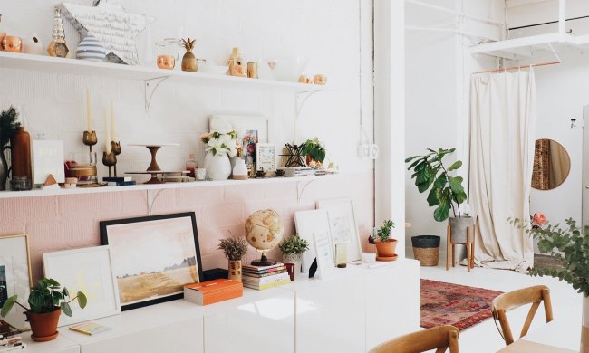 Decor and plants in a white modern house