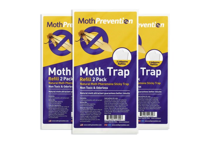 The best moth traps | 21Oak