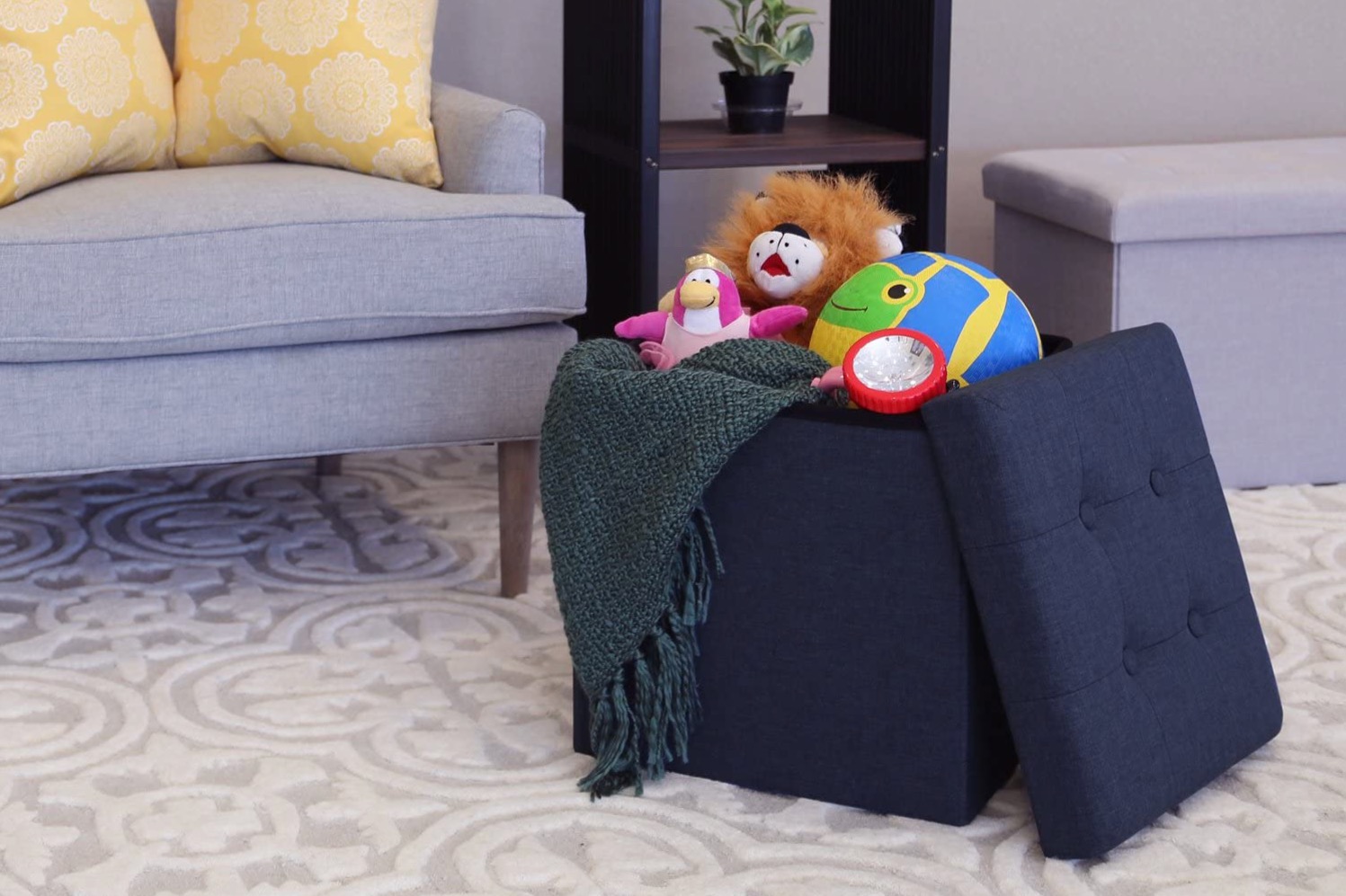 Storage ottoman with toys inside in living room
