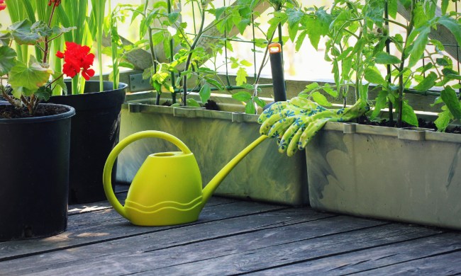 Balcony garden with watering can