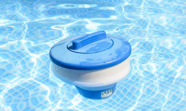 Pool chlorinator