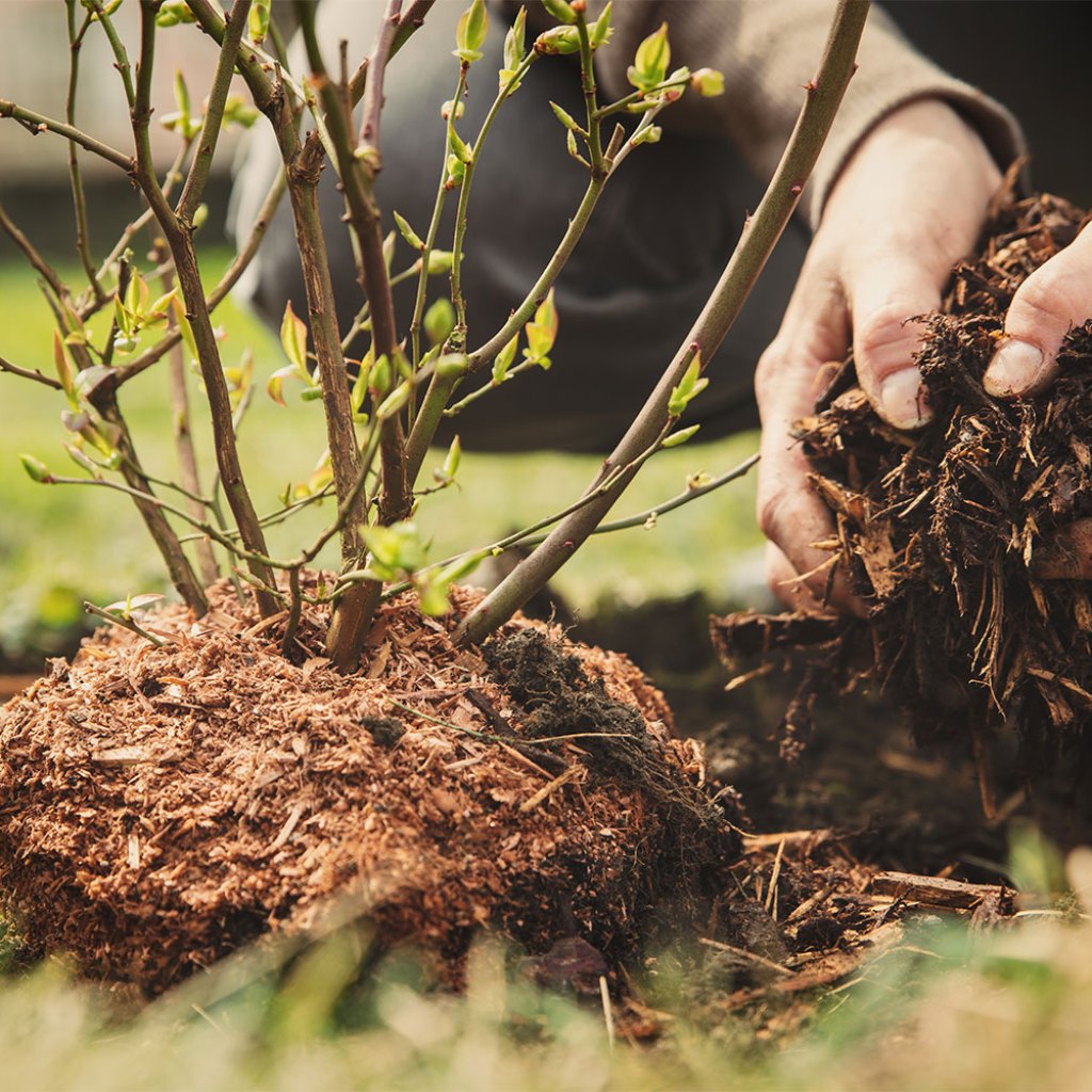 make garden mulch