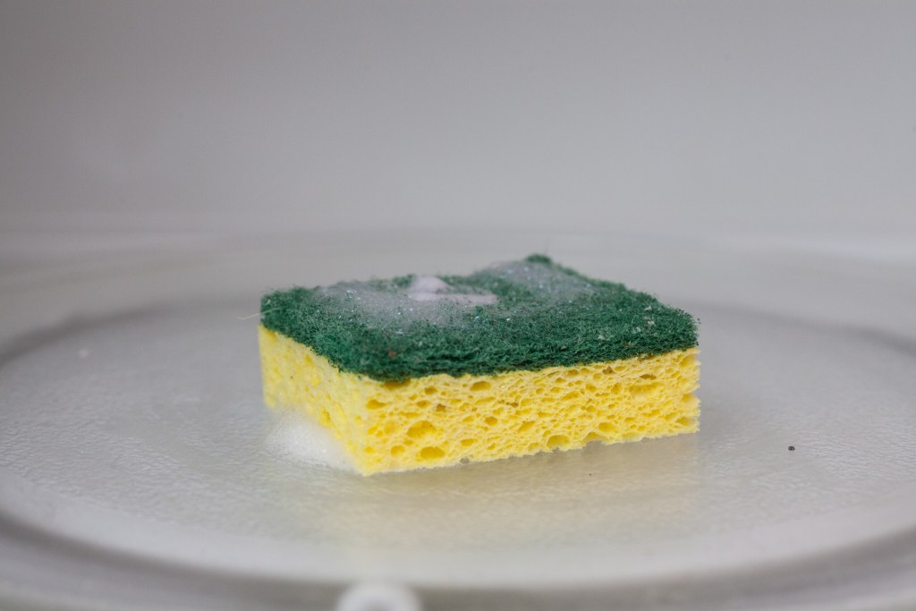 Sponge in microwave oven