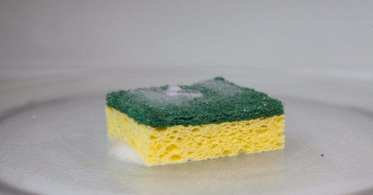 Does microwaving a sponge kill germs? Here's the truth 21Oak