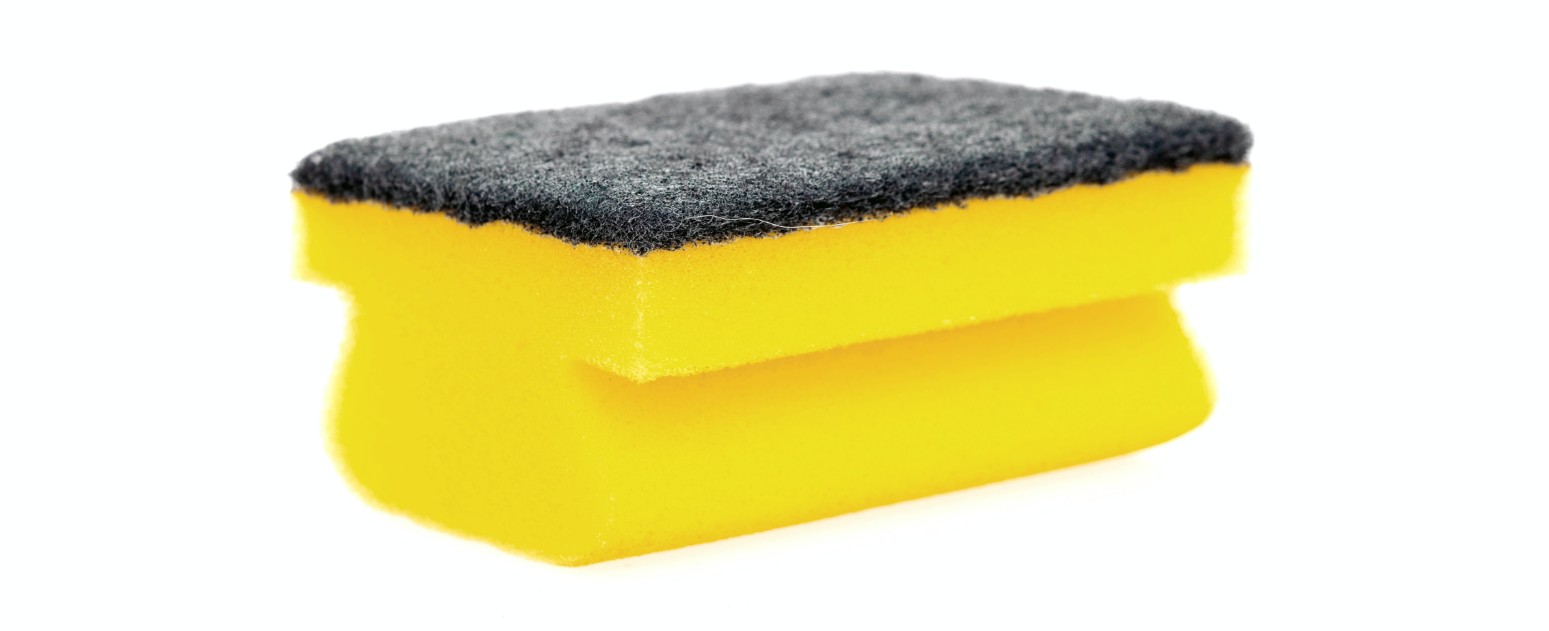 Sponge on white background