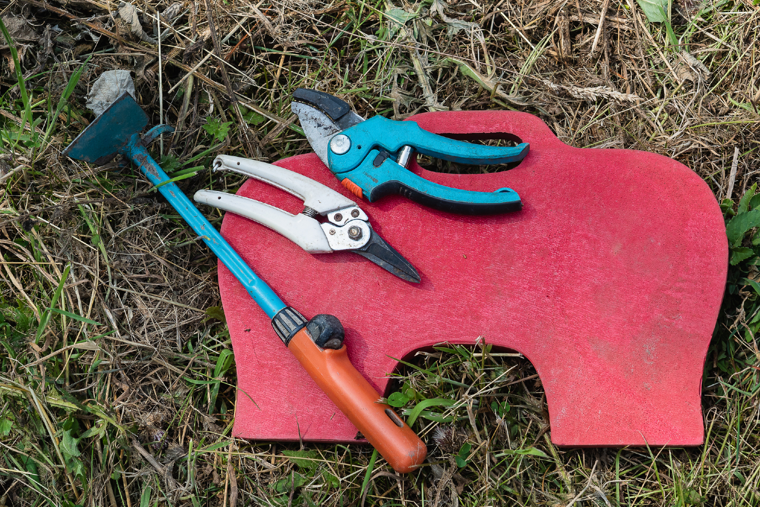 garden kneeling pad and tools