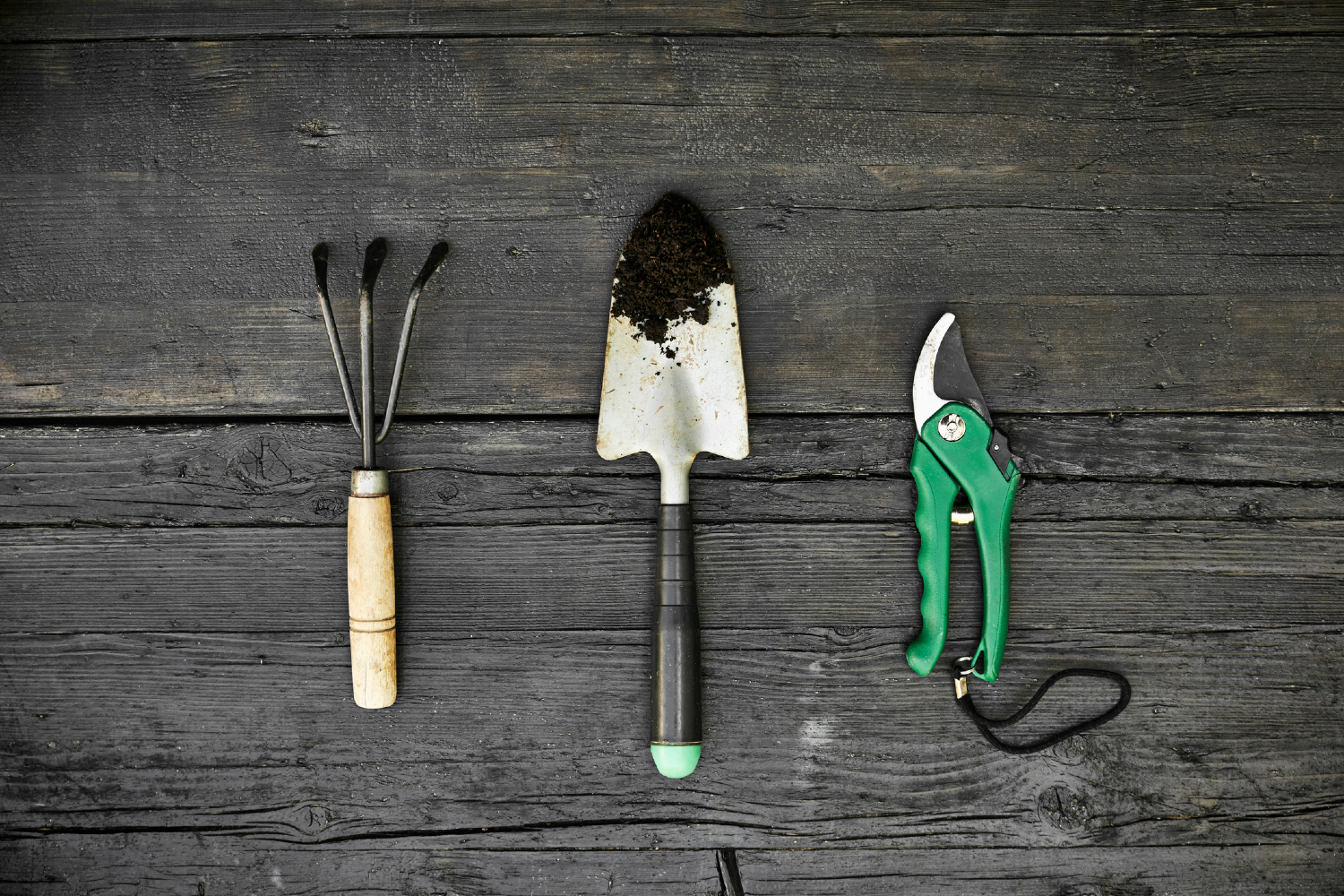 Garden tools: trowel, spade, shears