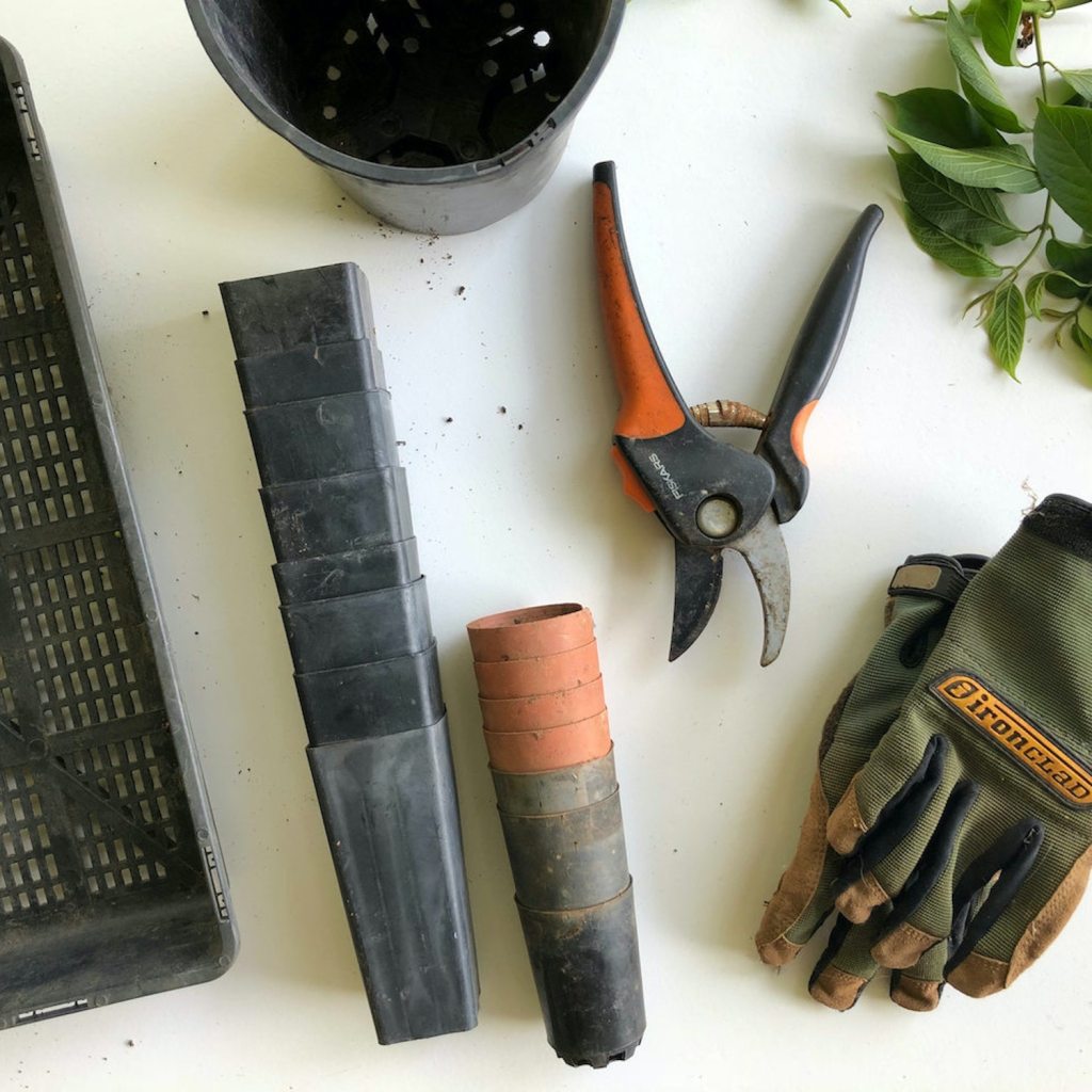 gardening gloves and various gardening tools