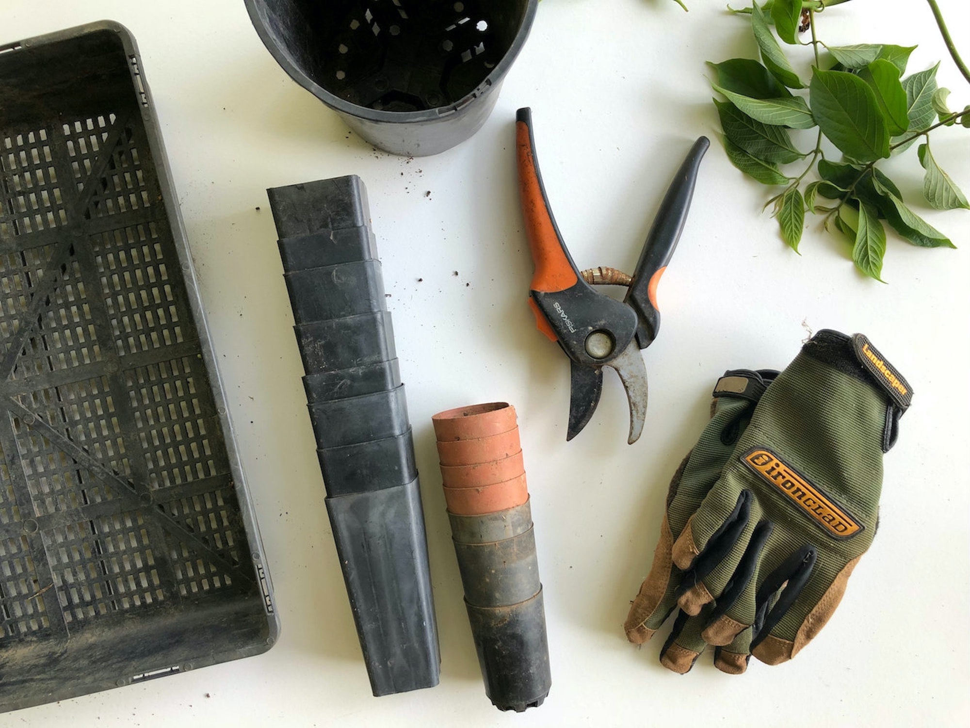 gardening gloves and various gardening tools