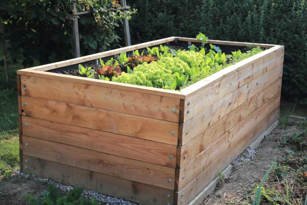 Plants in large wooden box