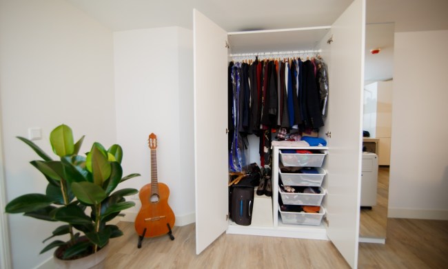 Closet with clothes and guitar in corner with plant