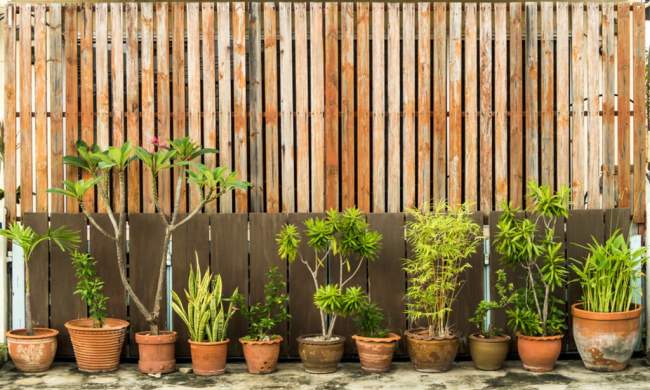 the best decorative fence screens for your yard screen