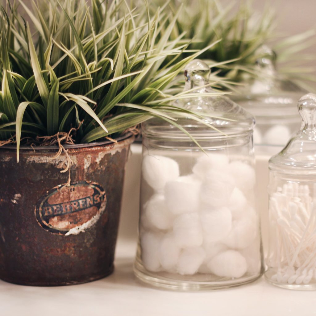 Apothecary jars sit lined up on a bathroom counter beside a plant.