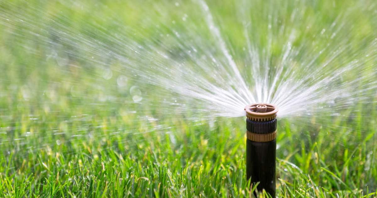 Lawn tip How often should you water new sod? 21Oak