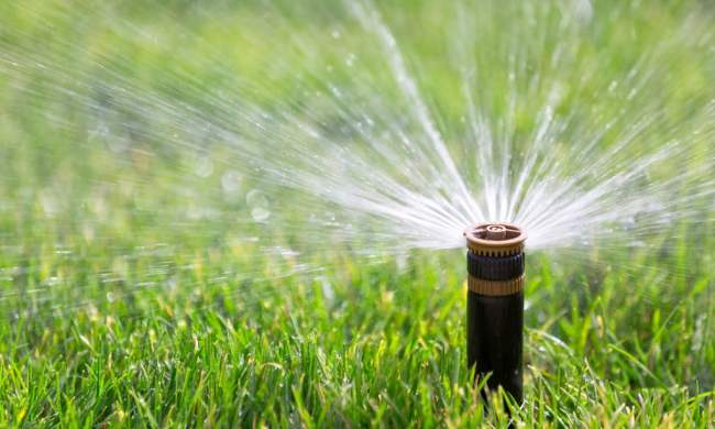 Close-up of sprinkler spraying water on grass