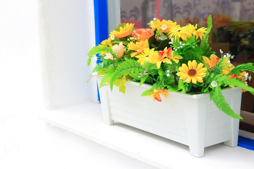 white window box with yellow flowers