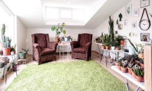 A light green rug sits in a room with dark colored chairs and plants.