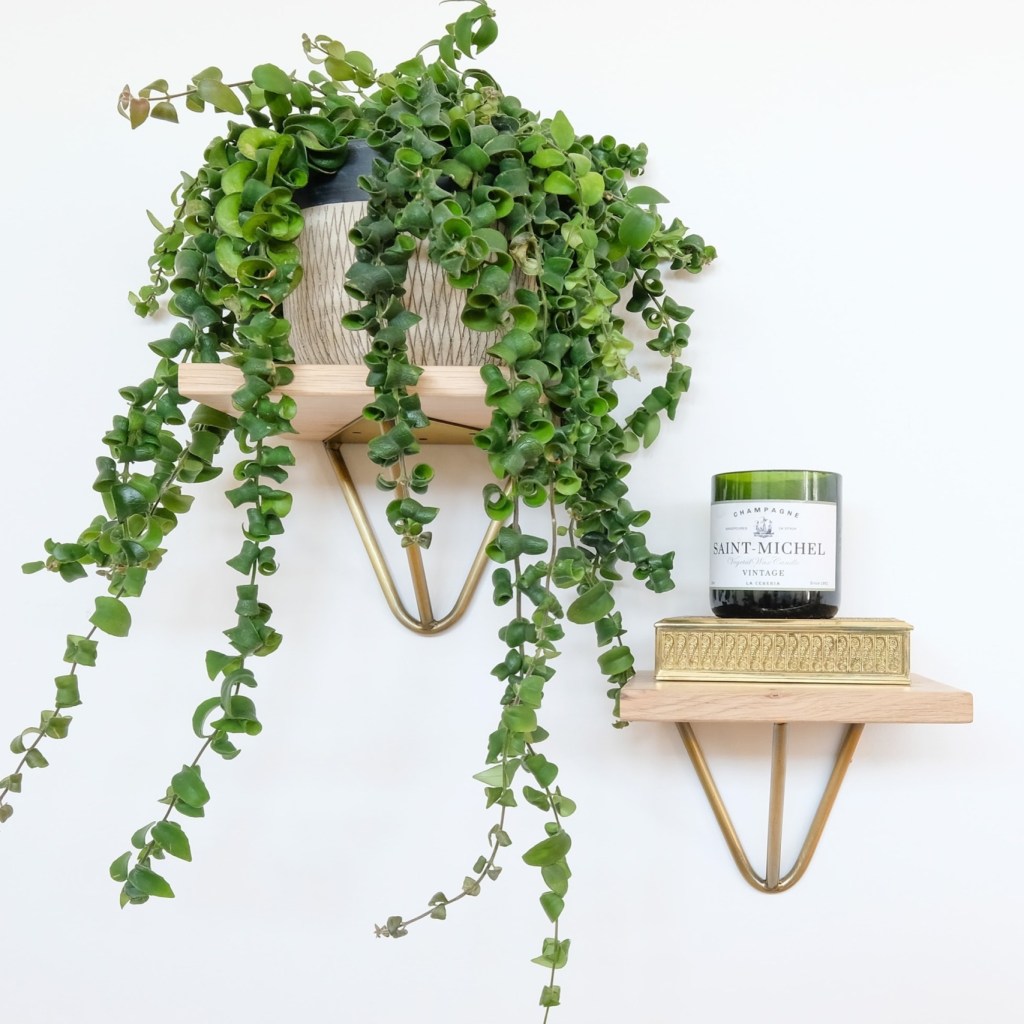 Two floating shelves against a white wall