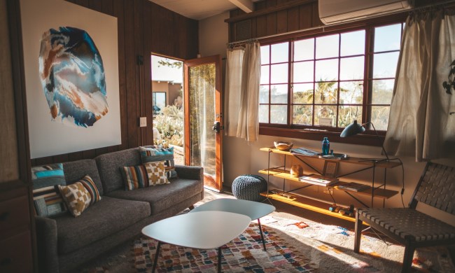 Natural light from windows in modern living room