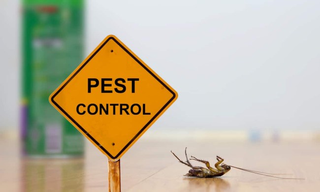 Dead bug with pest control sign
