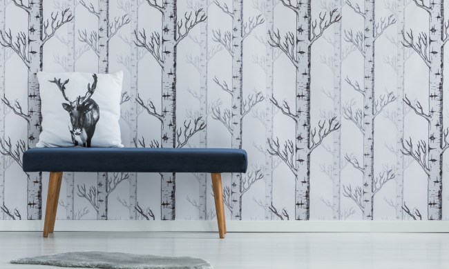 Entryway with mural wallpaper