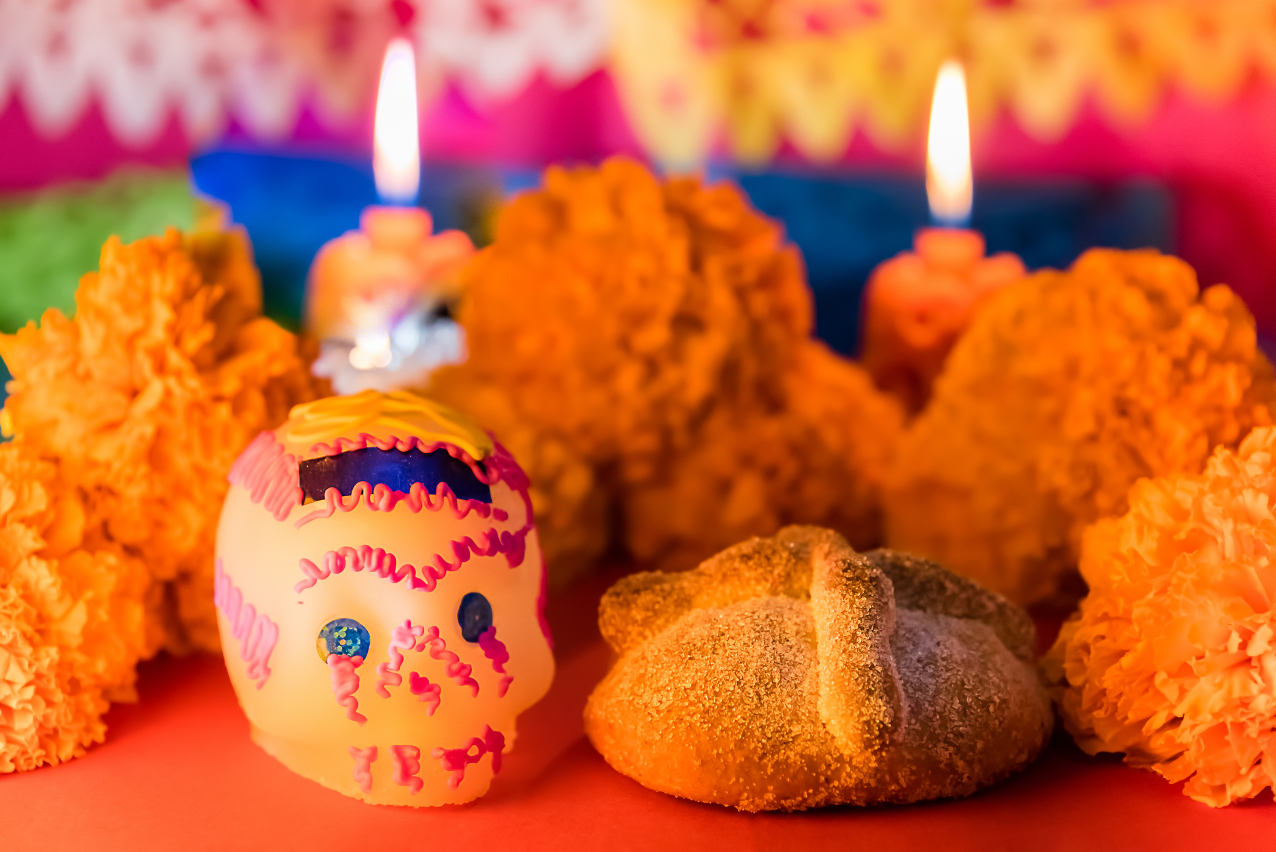 sugar skull and marigolds on ofrenda for dia de los muertos