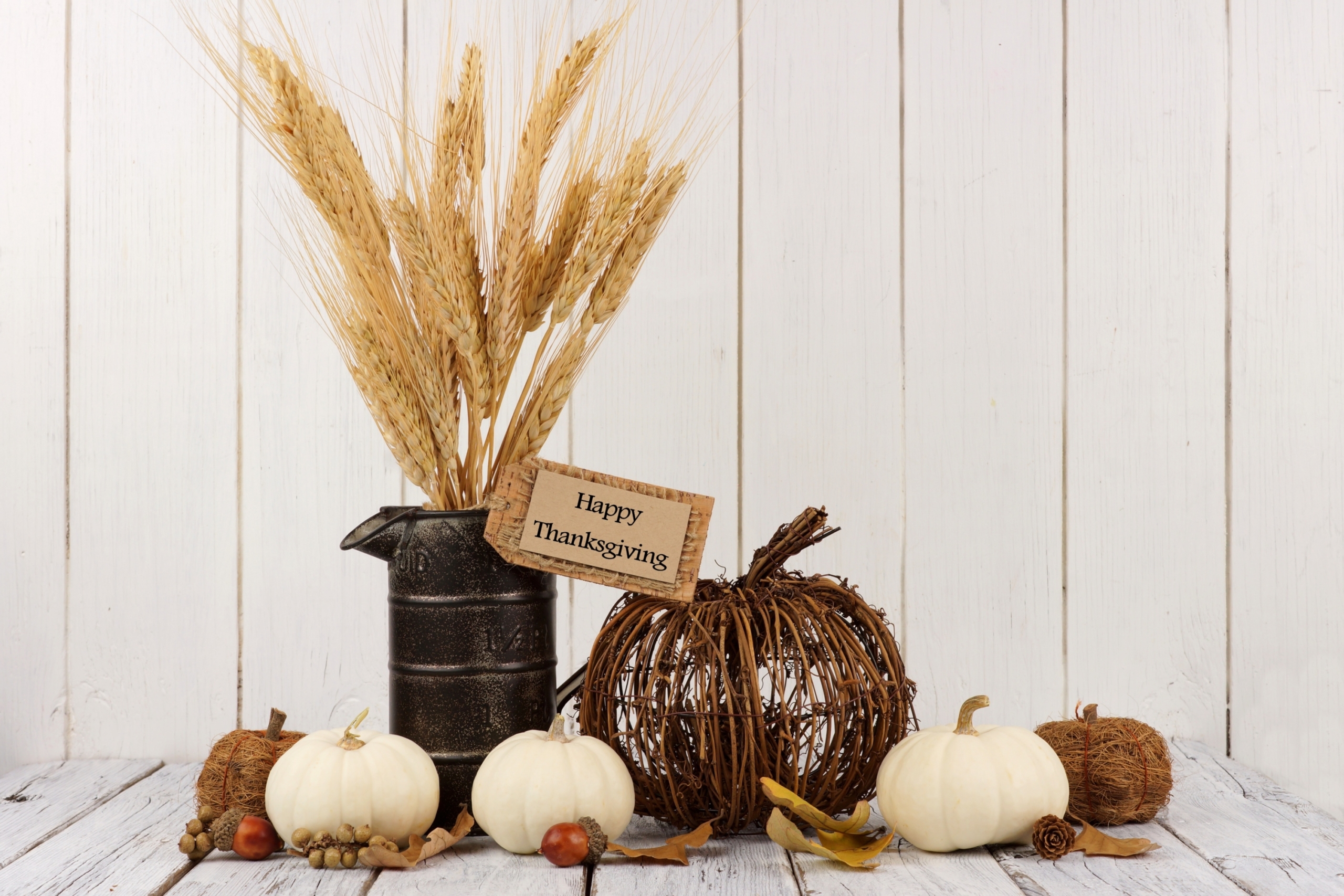 fall decor for thanksgiving with pumpkins