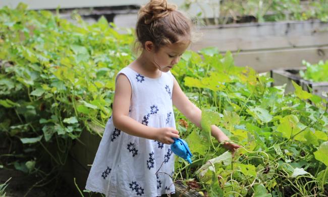 Young girl in white dress watering plants