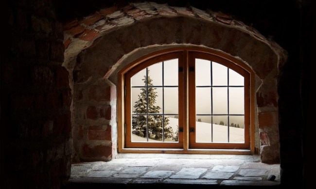 Window looking out on snowy tree