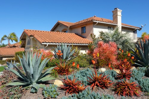 A front yard with xeriscape landscaping