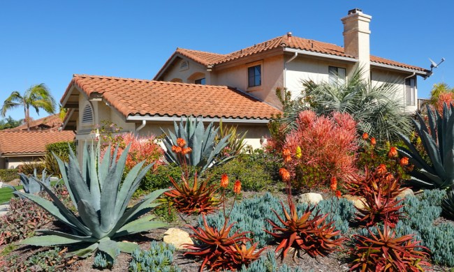 A front yard with xeriscape landscaping