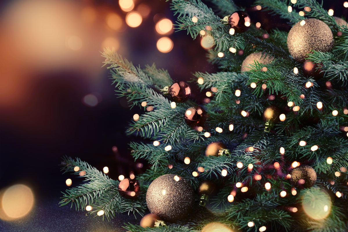 close up Christmas tree