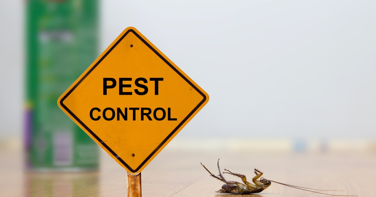 Why you need a pest control technician on speed dial 21Oak