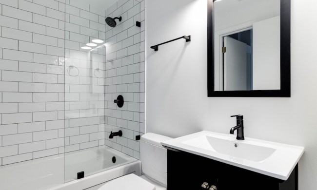 Small black and white bathroom design