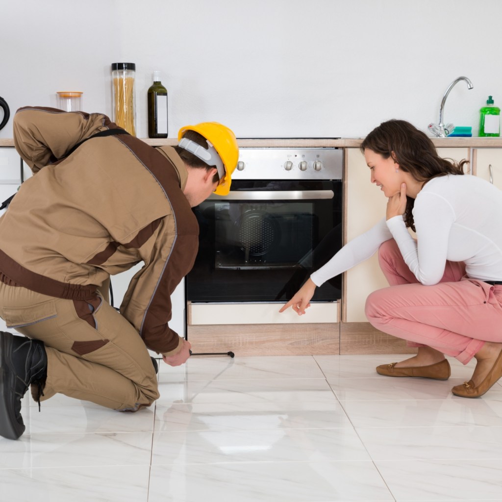 Woman and pest control inspector in kitchen