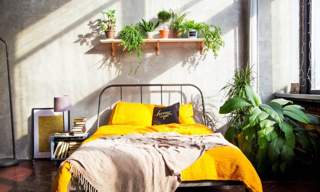 Bedroom with indoor plants and lots of sunlight