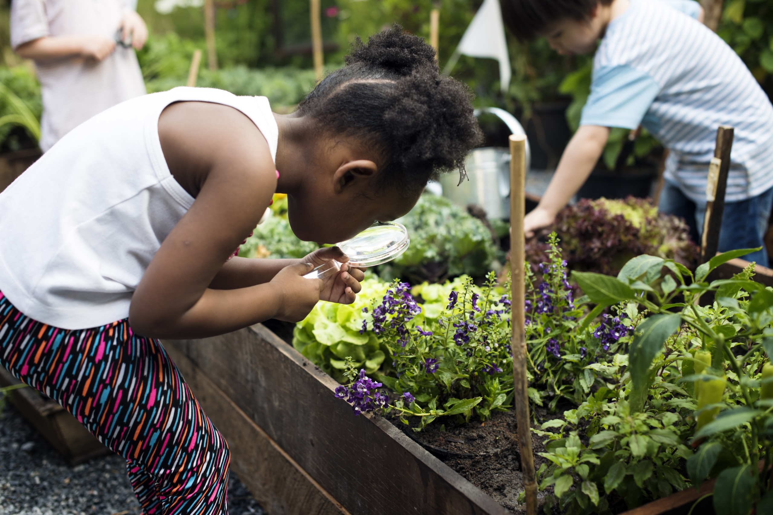 young girl in vegetable garden