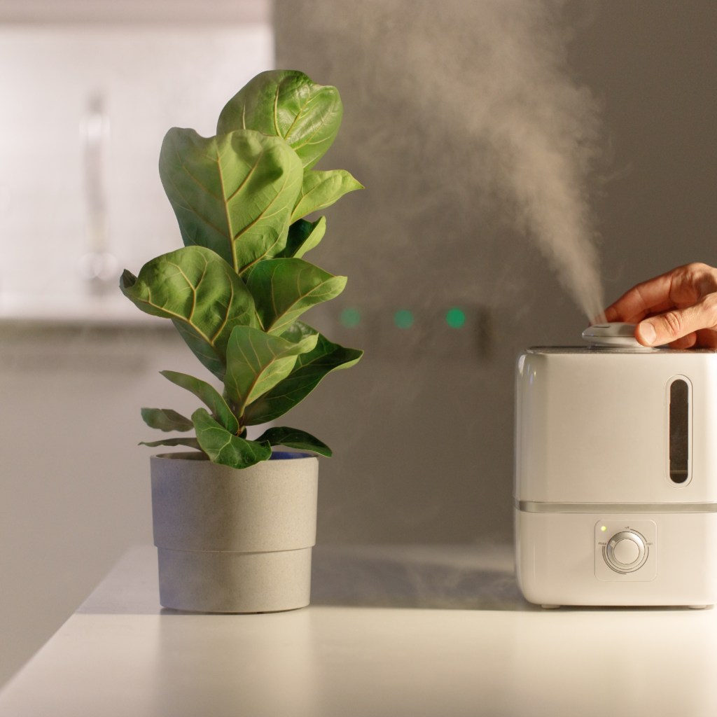 person turning on plant humidifier