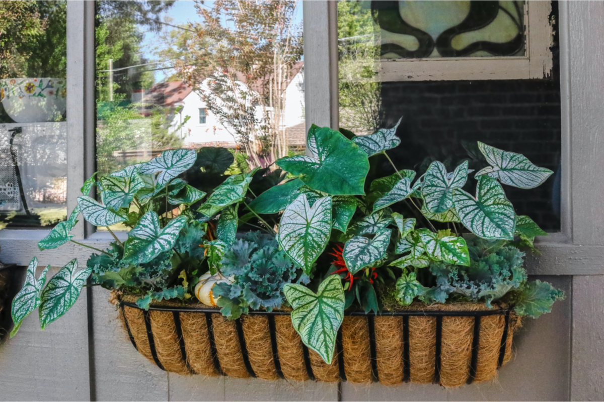 Steel English Hay Basket Window Planter