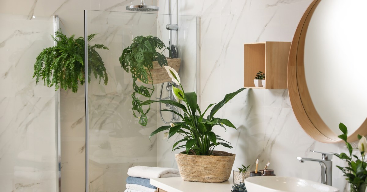 The Best Shower Plants You Can Get (and Why You Should) 21Oak