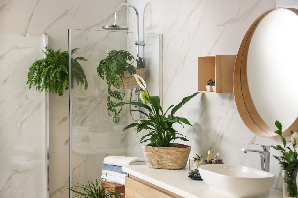 Bathroom lowlight plants