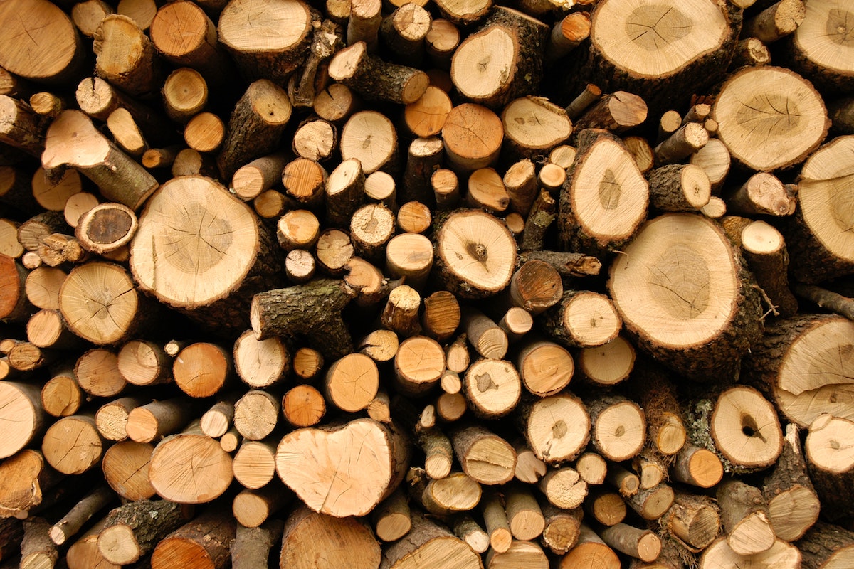 firewood
