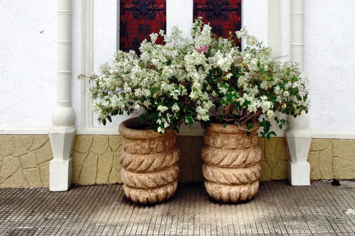 outdoor flower pots